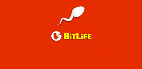 BitLife Simulator